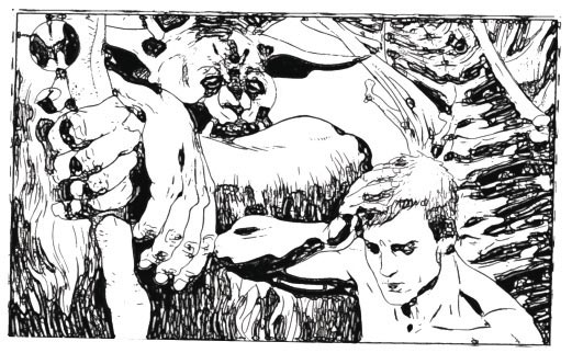 animal man